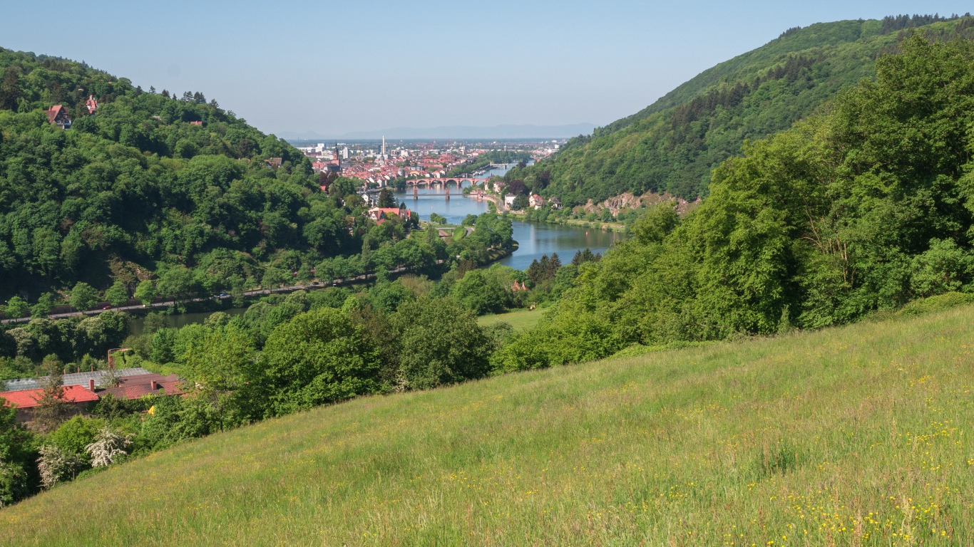 Вид с зеленого холма на реку 
