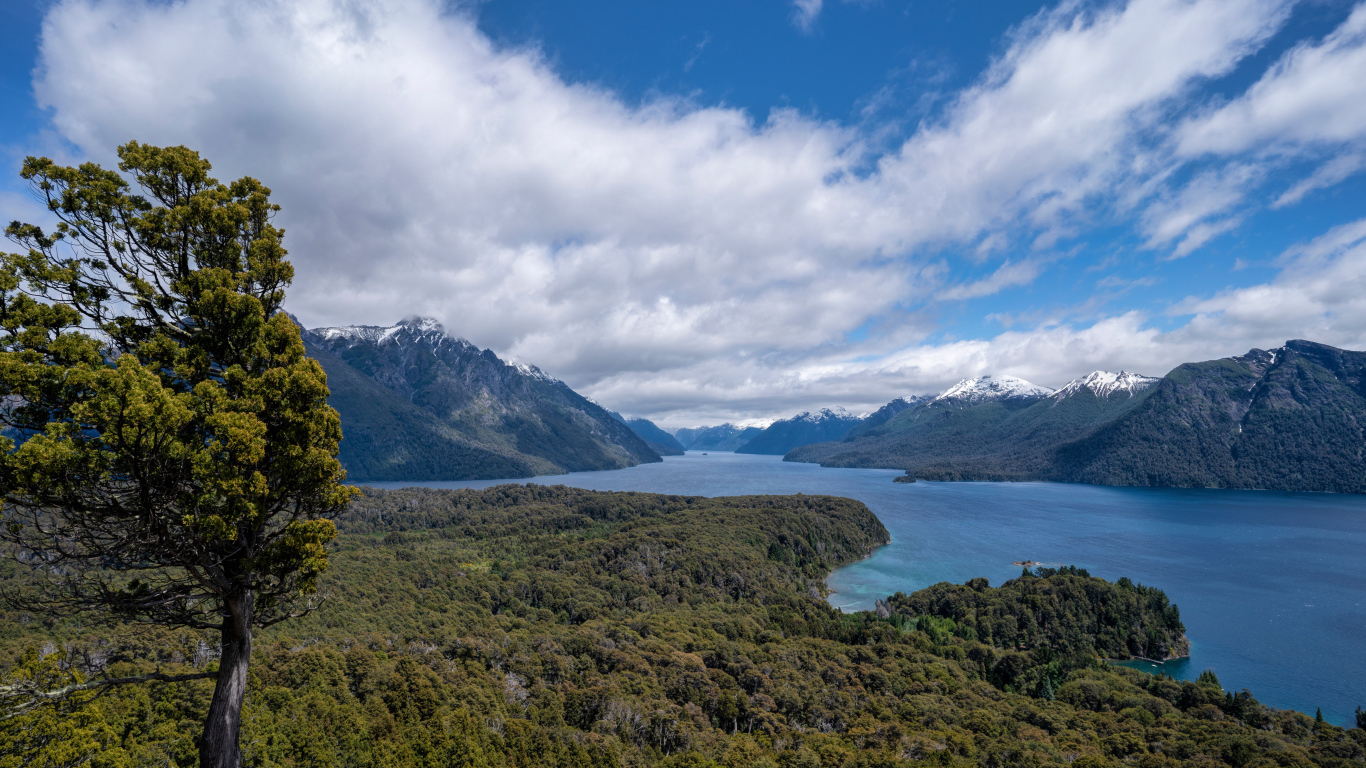 Красивый вид на реку под голубым небом с белыми облаками