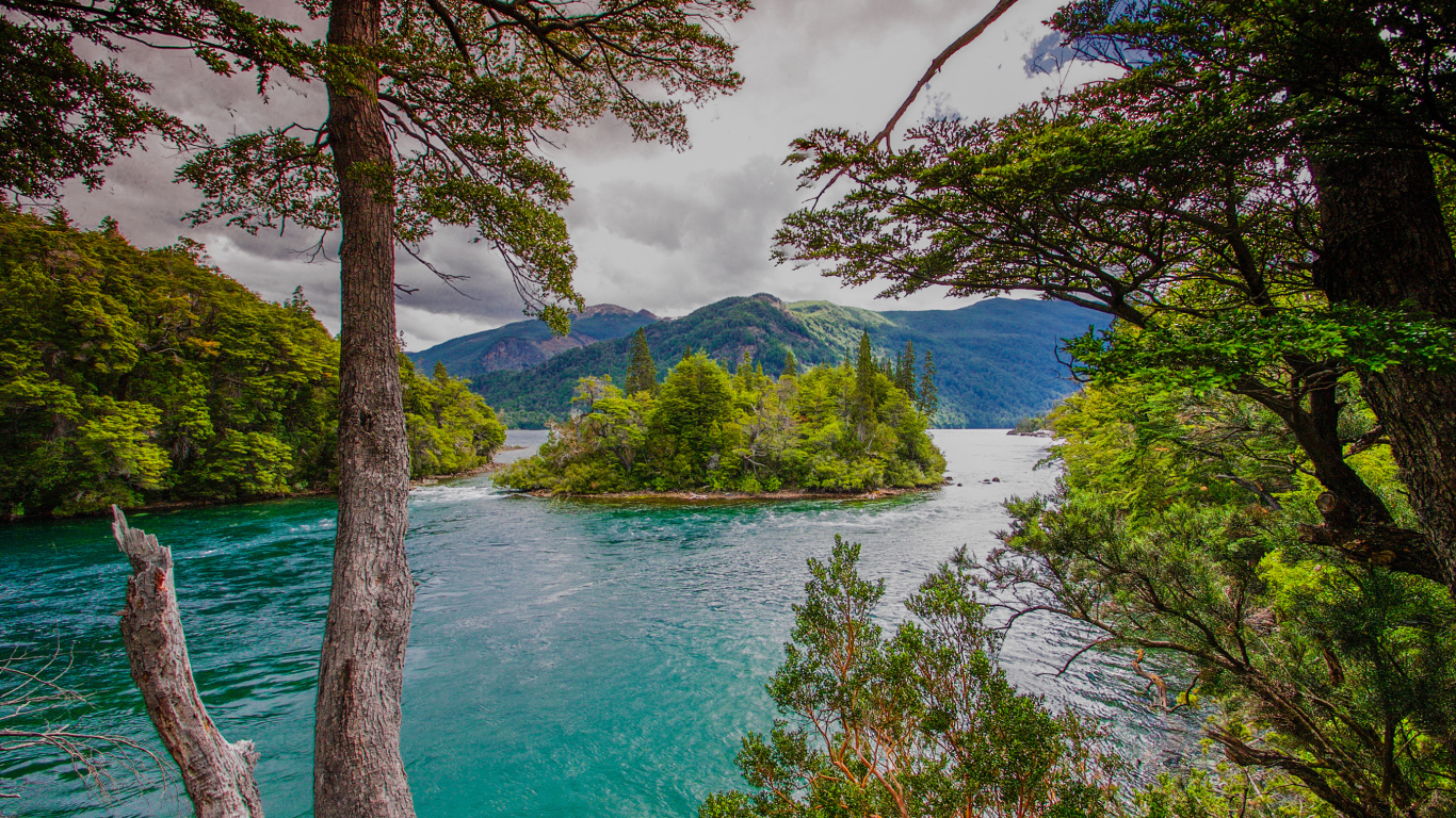 Зеленый остров посередине реки с голубой водой 