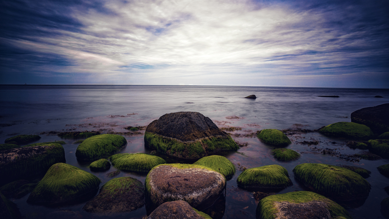 Мокрые покрытые зеленым мхом камни в море 