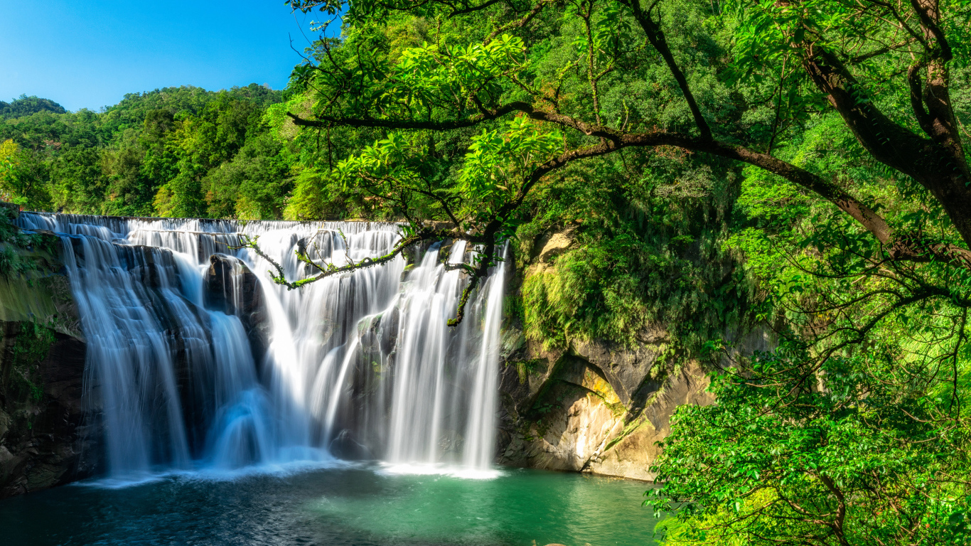 Быстрый водопад стекает со скалы в лесу с зелеными деревьями