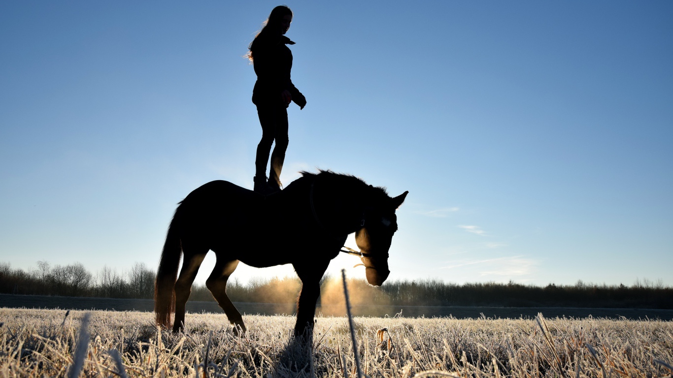Девушка стоит на коне на фоне рассвета 