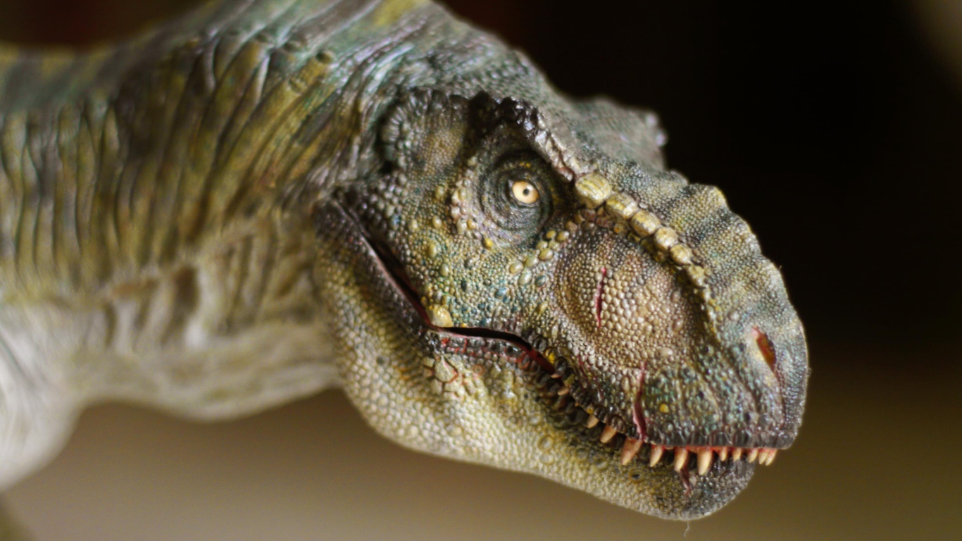 Морда динозавра т рекса крупным планом