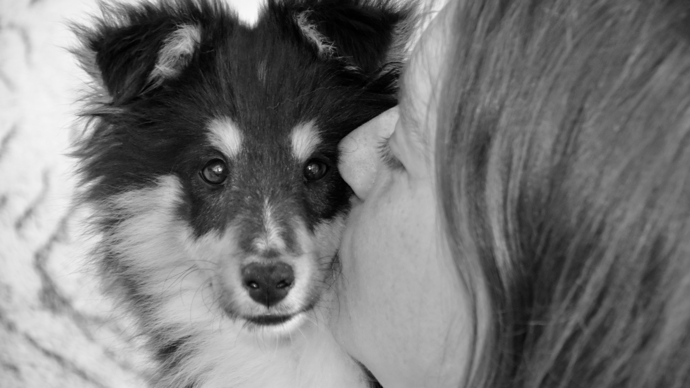 Девушка целует милого щенка 