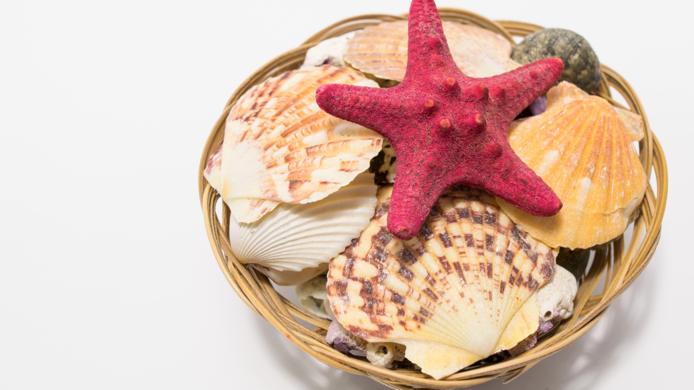 Красная морская звезда и ракушки в корзине на столе 