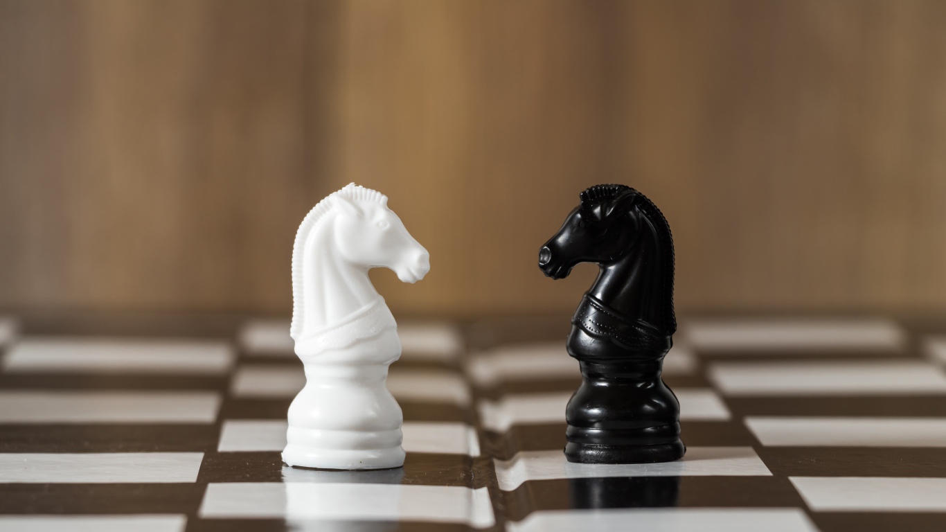 Черный и белый шахматный конь