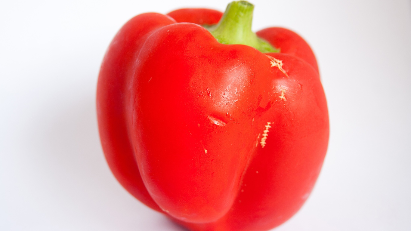 Большой красный болгарский перец на сером фоне