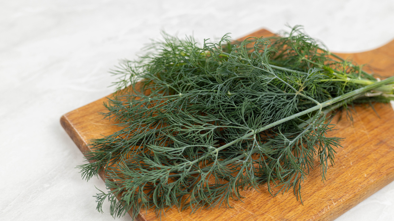 Свежий зеленый укроп на разделочной доске