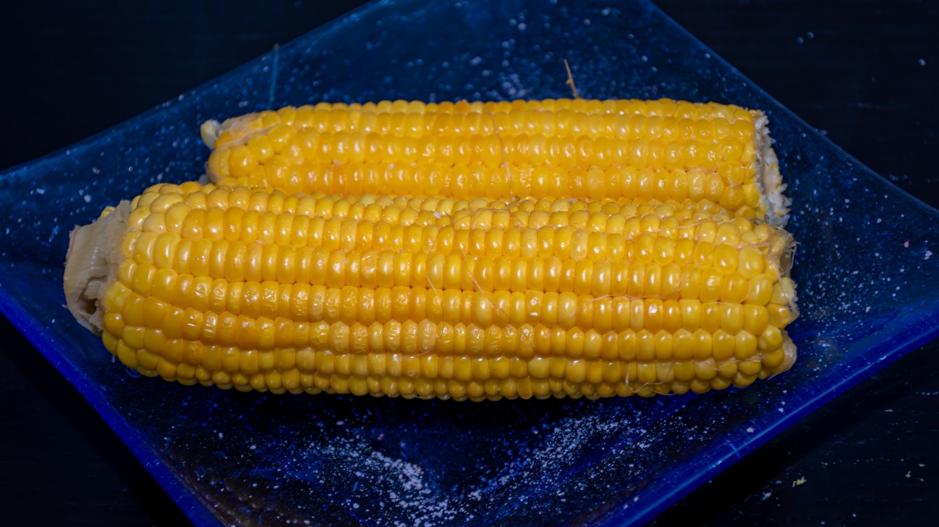 Два желтых початка кукурузы на синей тарелке