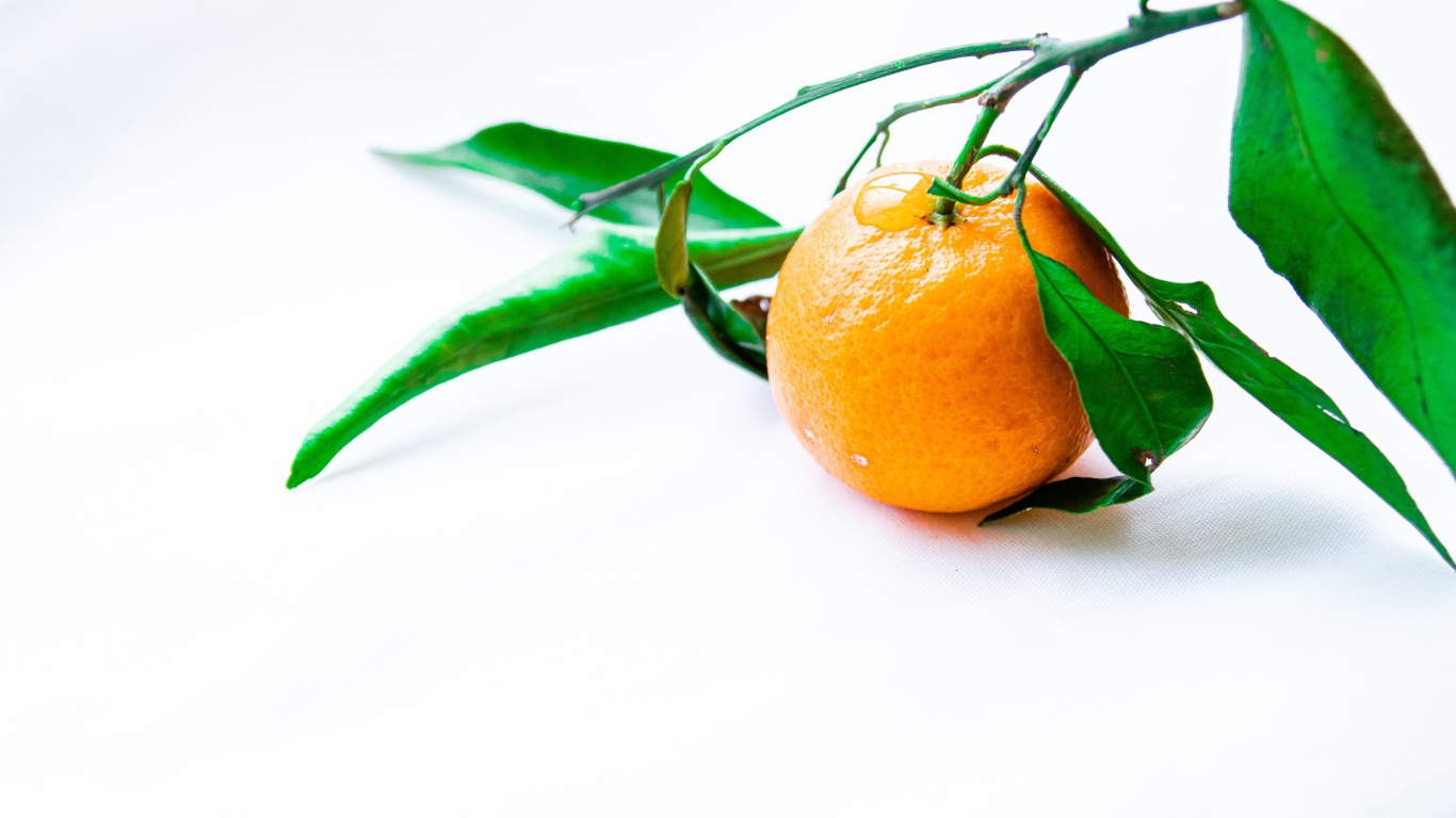 Оранжевый мандарин с зелеными листьями на белом фоне