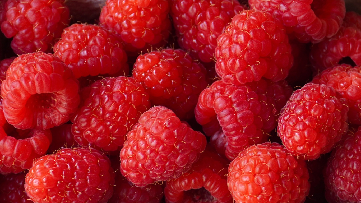 Красные сладкие ягоды малины крупным планом 