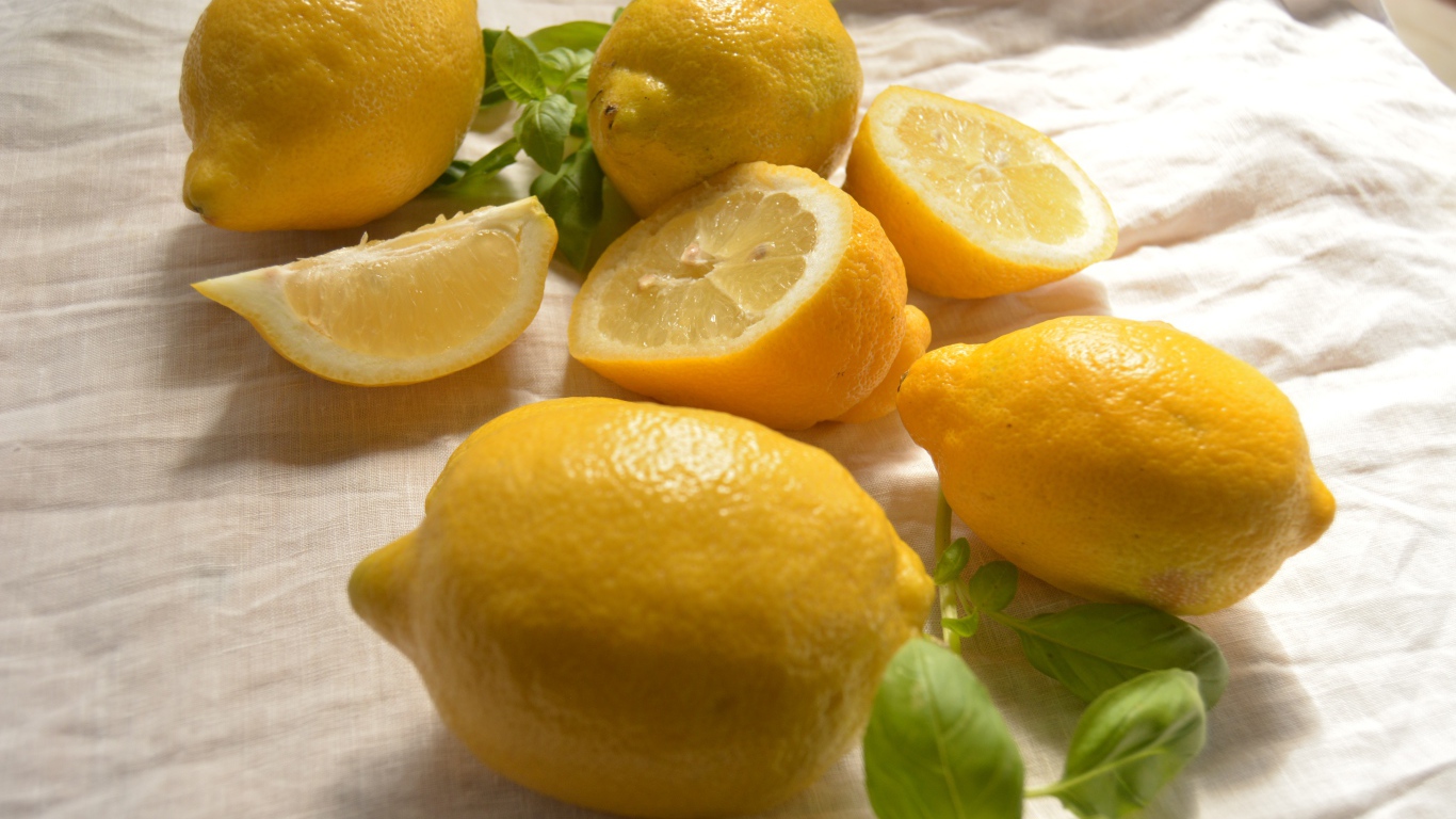 Желтые кислые лимоны с листьями базилика 