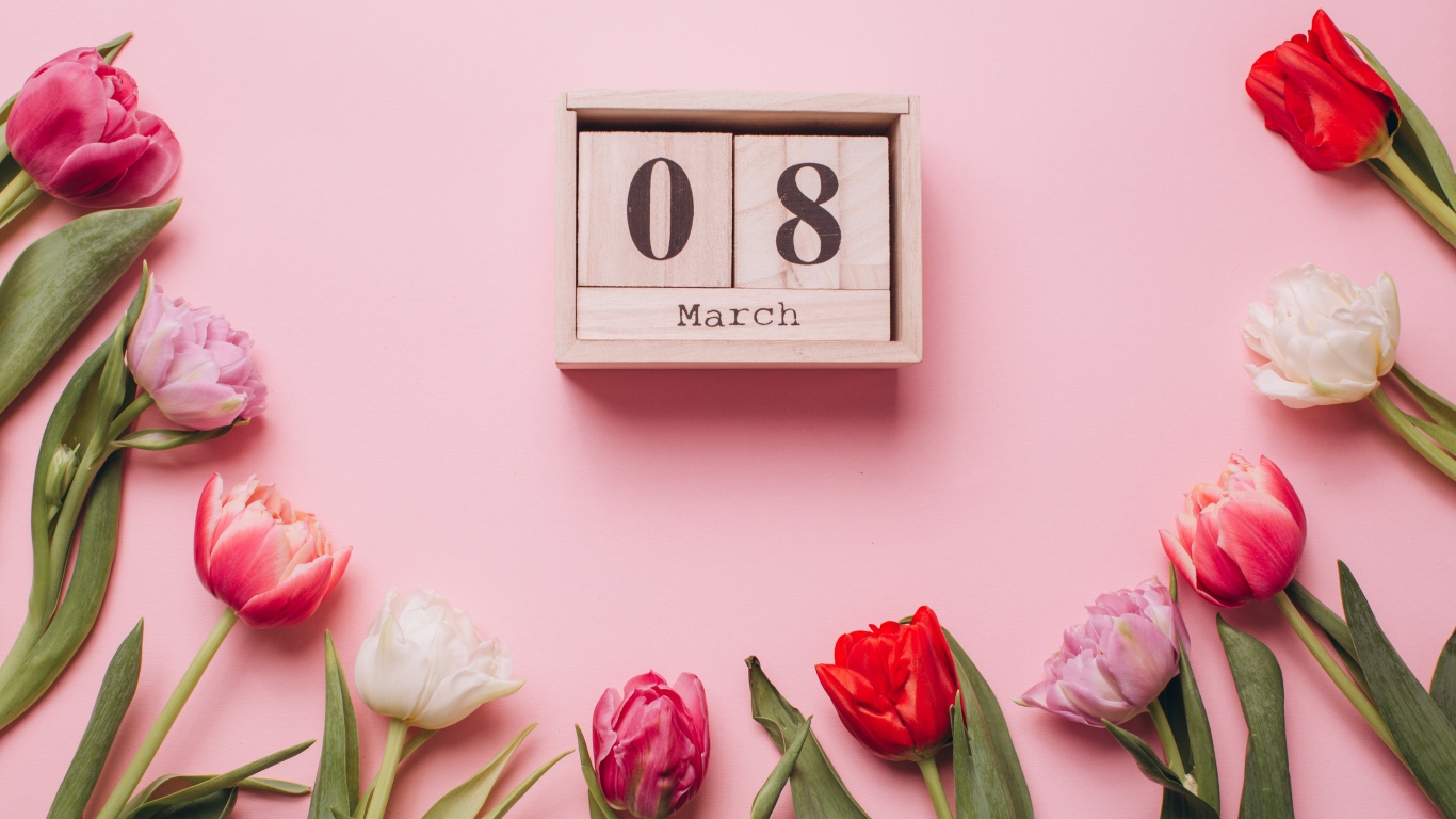 Тюльпаны с кубиками на розовом фоне на 8 марта