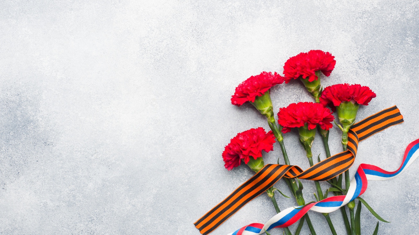 Букет гвоздик с ленточками, фон на День победы 9 мая