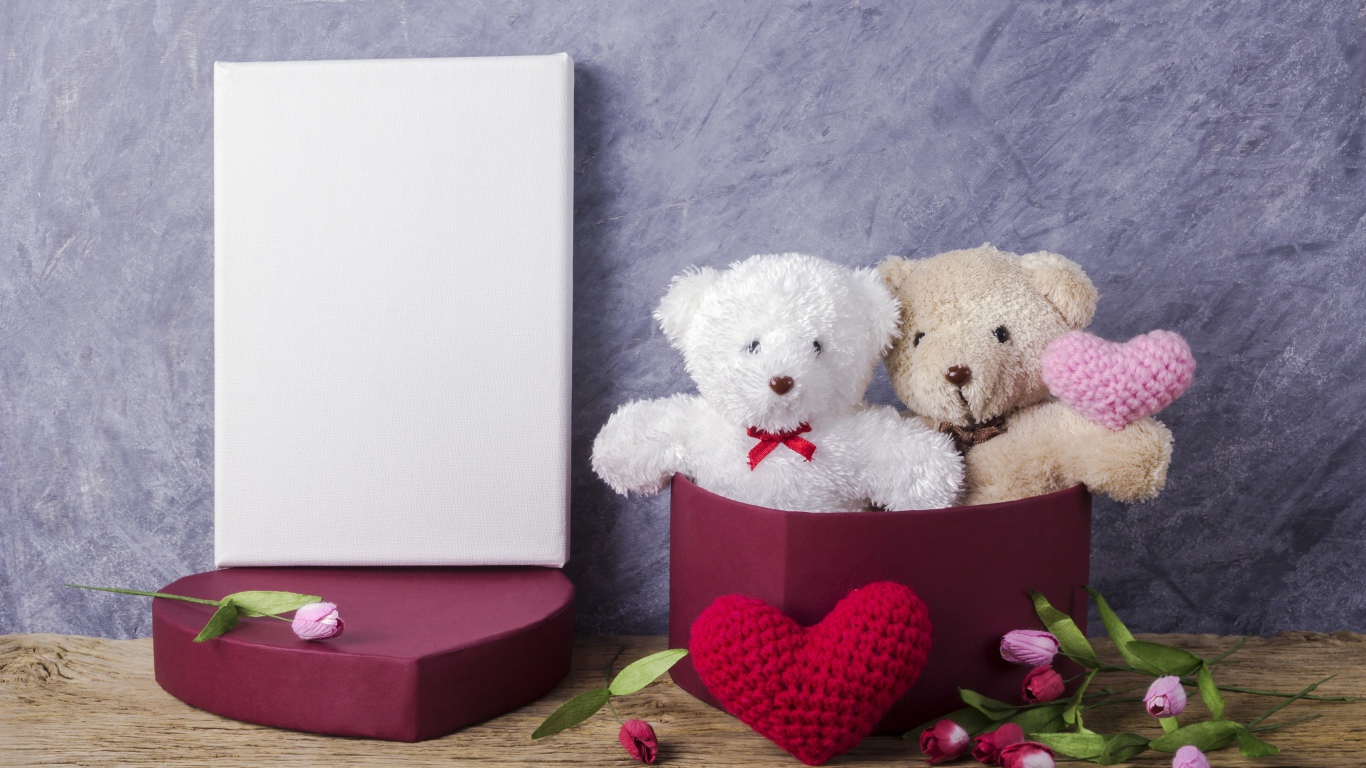 Два плюшевых медведя и подарок на 14 февраля день Святого Валентина