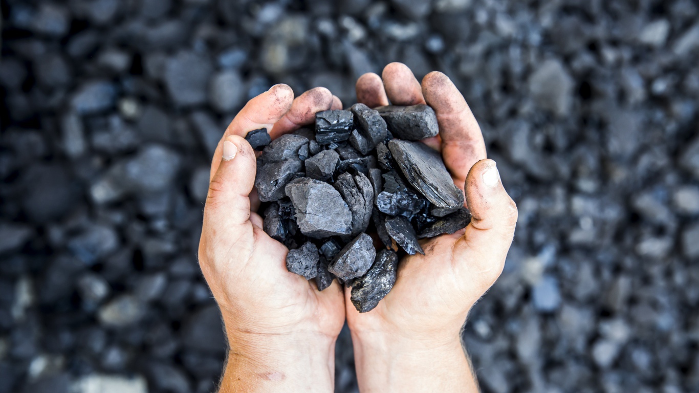 Каменный уголь в  руках у мужчины