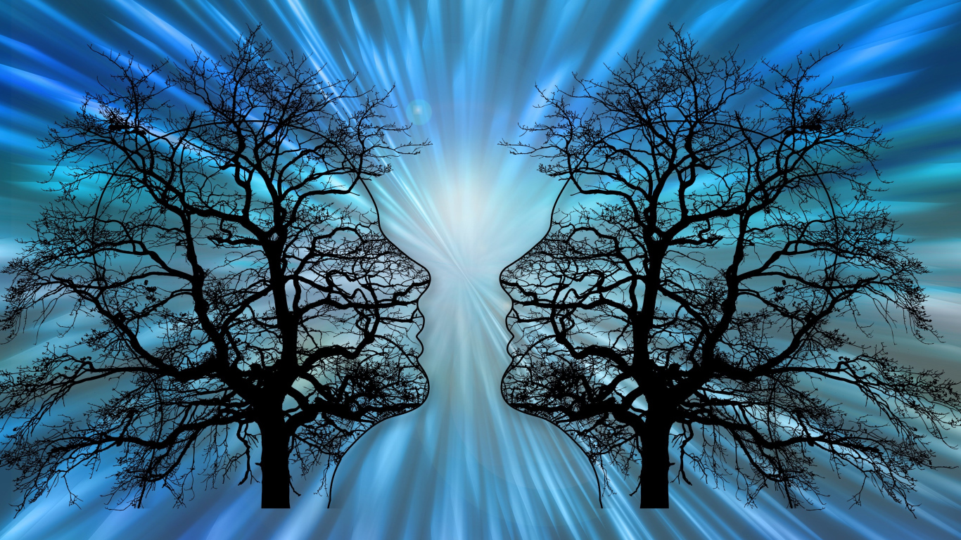 Два силуэта на опавших деревьях