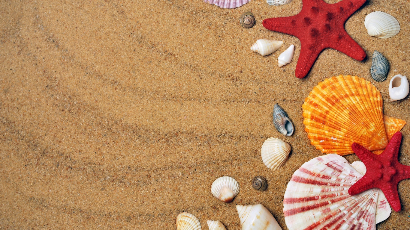 Разноцветные ракушки и морские звезды на песке 