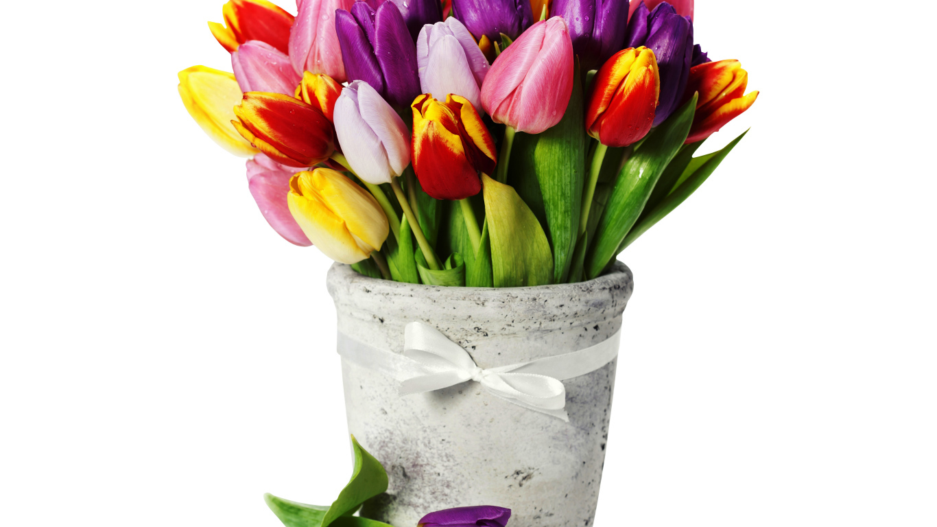 Букет разноцветных тюльпанов в вазе на белом фоне