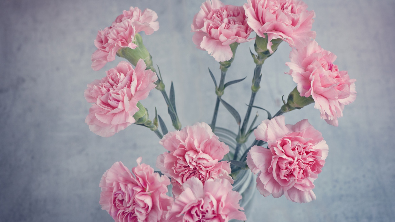 Букет розовых гвоздик в вазе на столе