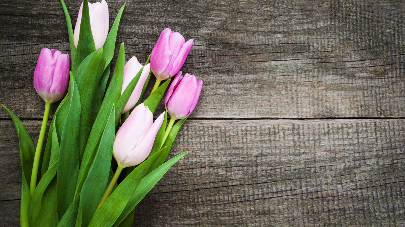 Букет розовых тюльпанов на старом деревянном фоне 