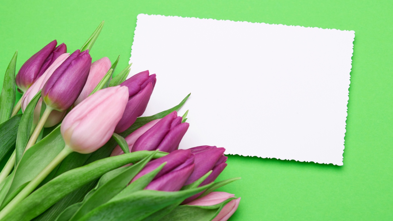 Букет розовых тюльпанов с белым листом бумаги на зеленом фоне
