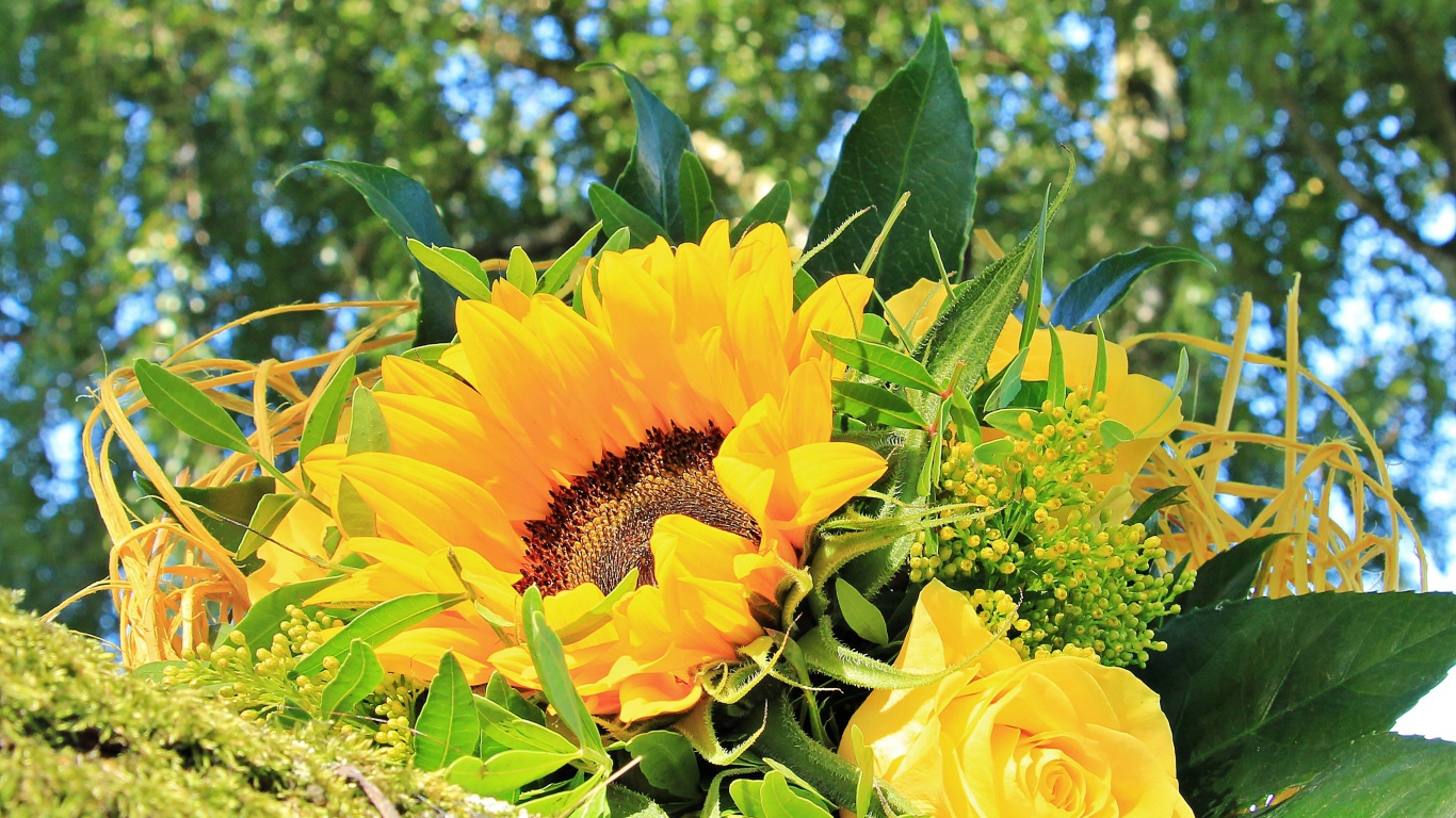 Букет цветов подсолнуха и желтой розы