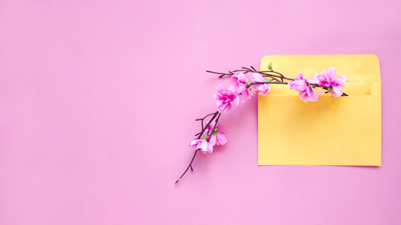 Ветка с цветами в желтом конверте на розовом фоне