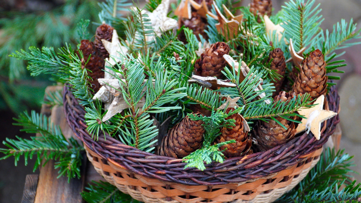 Шишки с ветками ели в корзине 
