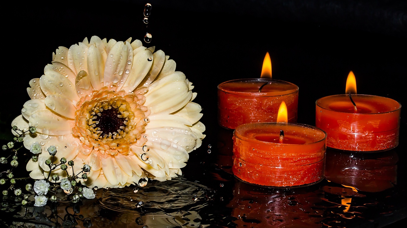 Кремовая гербера со свечами на мокром столе