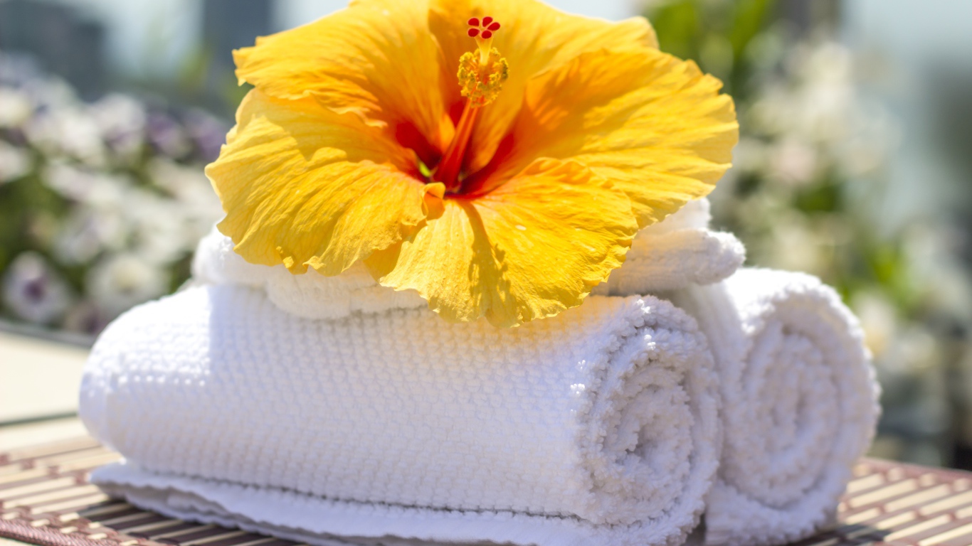 Большой цветок гибискуса с белыми полотенцами