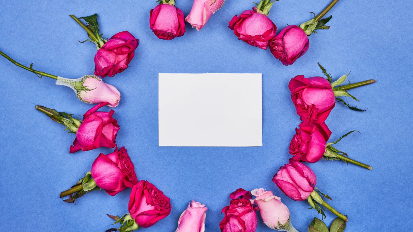 Бутоны розовых роз с белым листом бумаги на голубом фоне
