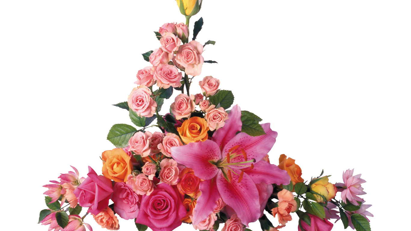 Розовые розы с лилиями на белом фоне 