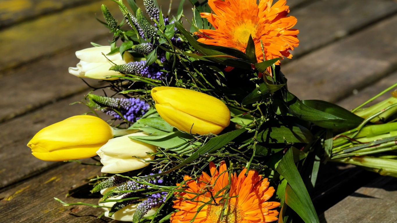 Цветы тюльпана с герберами на лавке