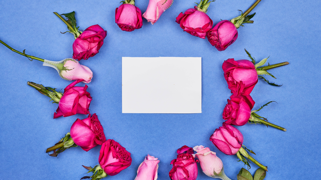 Белый лист бумаги с розами на голубом фоне