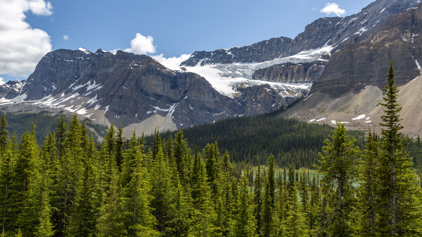 Высокие горы под голубым небом у хвойного леса 