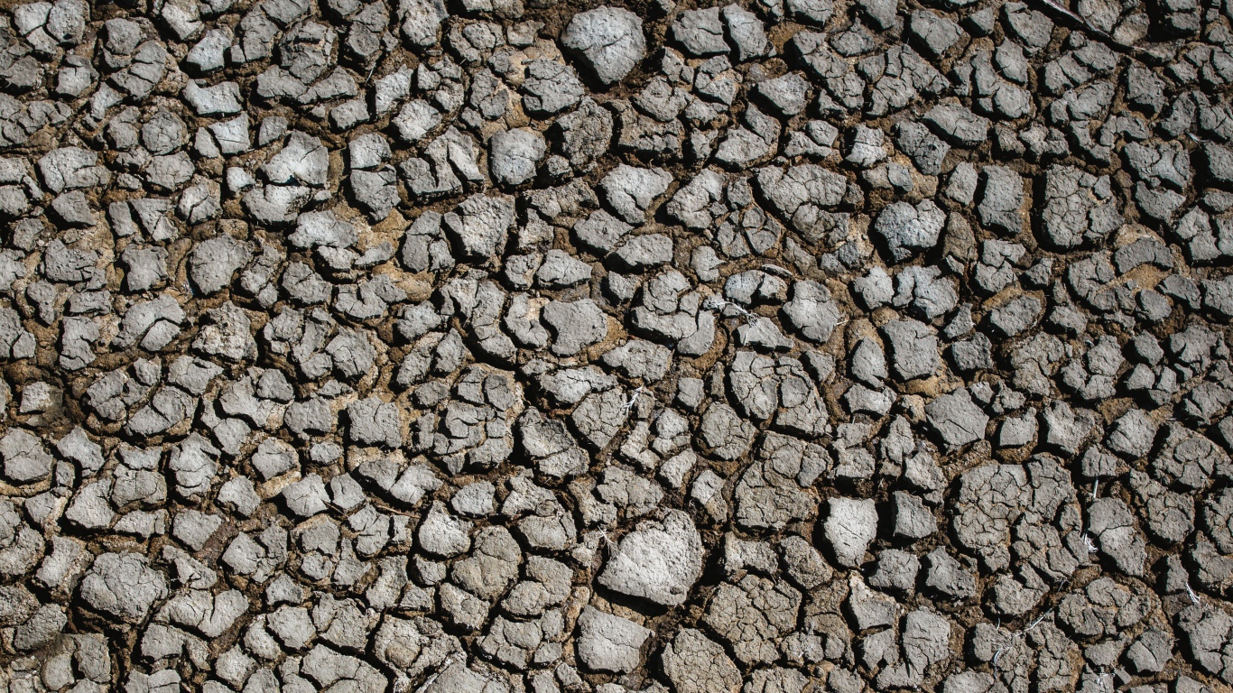 Потрескавшаяся после засухи земля 