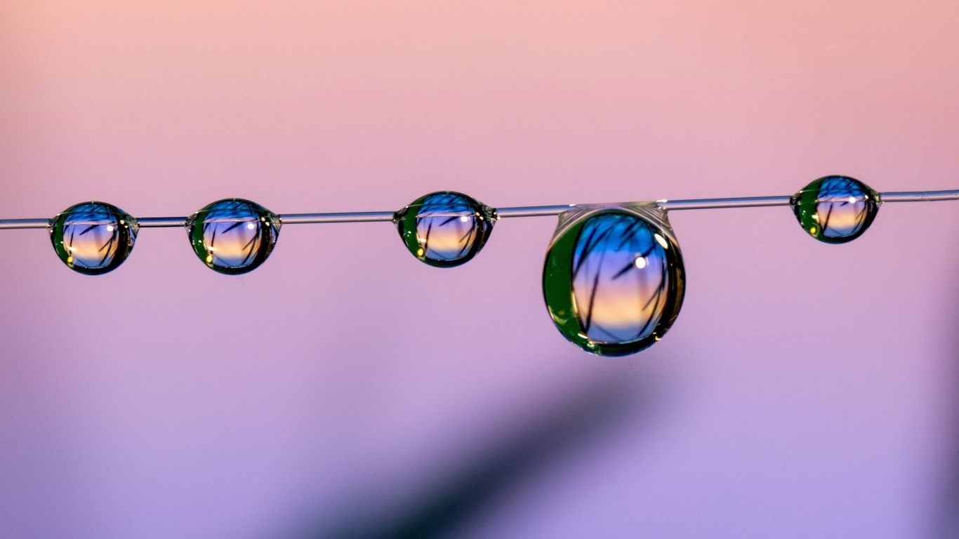 Капли воды на тонкой леске на розовом фоне