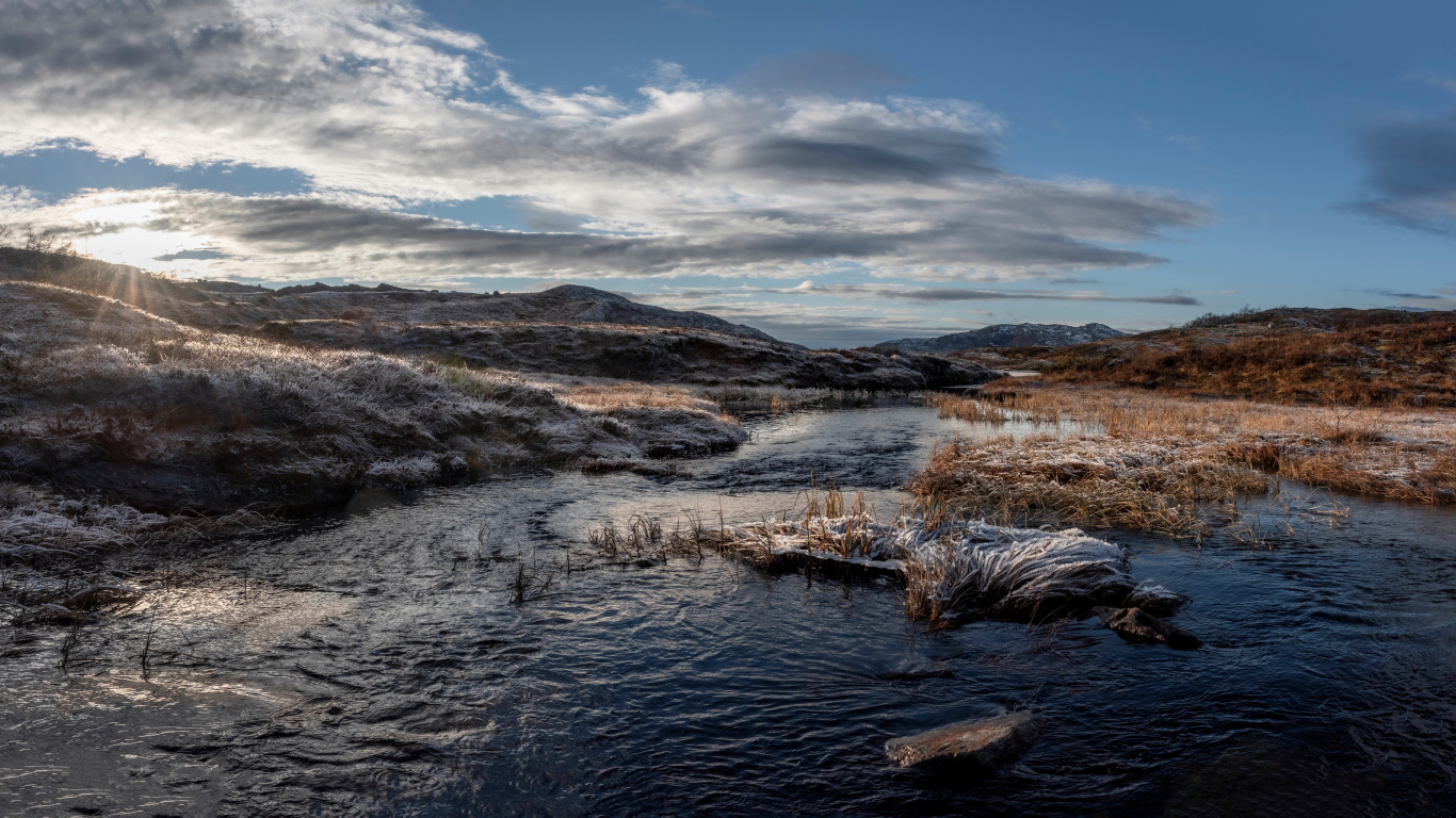 Покрытая инеем трава на берегу реки в лучах солнца