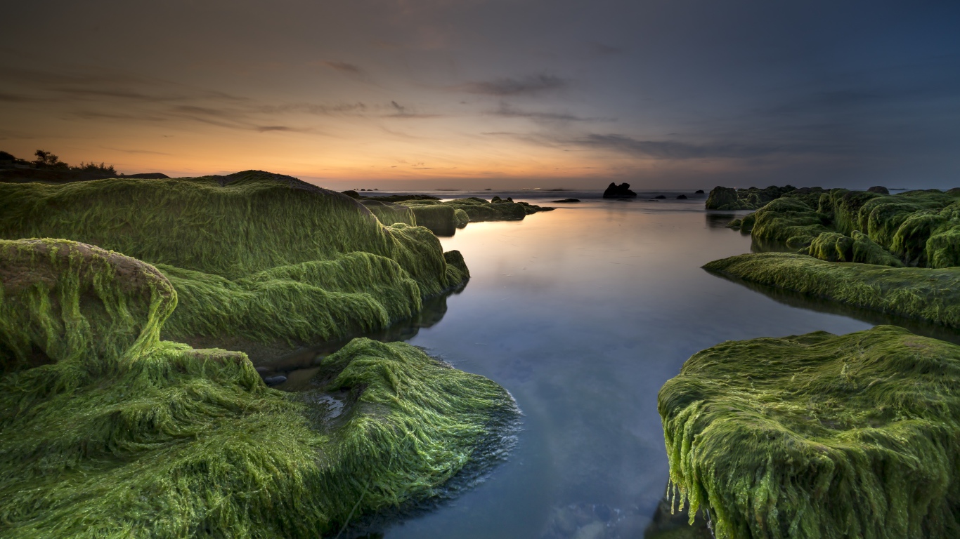 Покрытые зеленью берега у реки на закате солнца