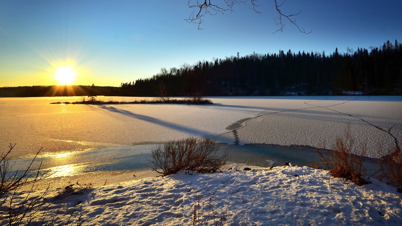 Покрытая льдом река в лучах солнца у леса 
