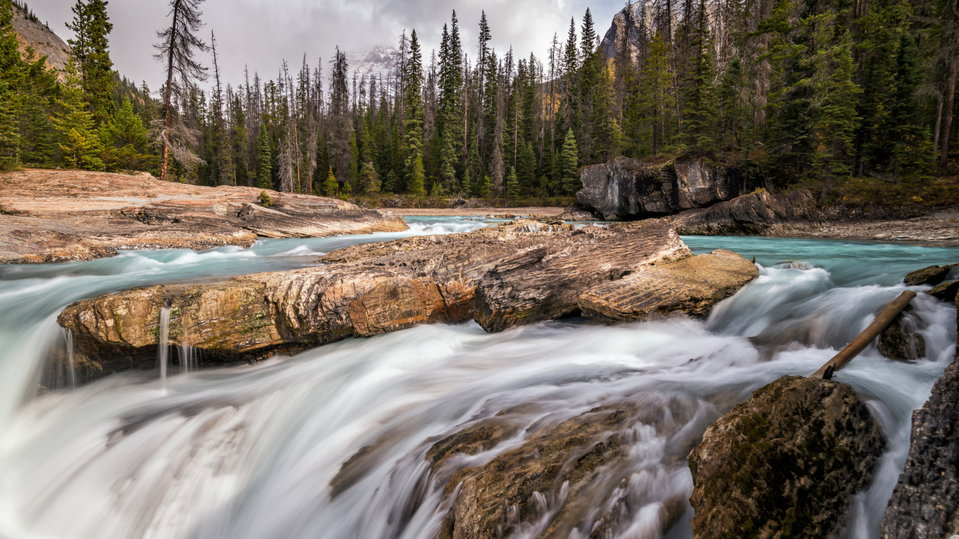 Large stones in a mountain river on a forest background