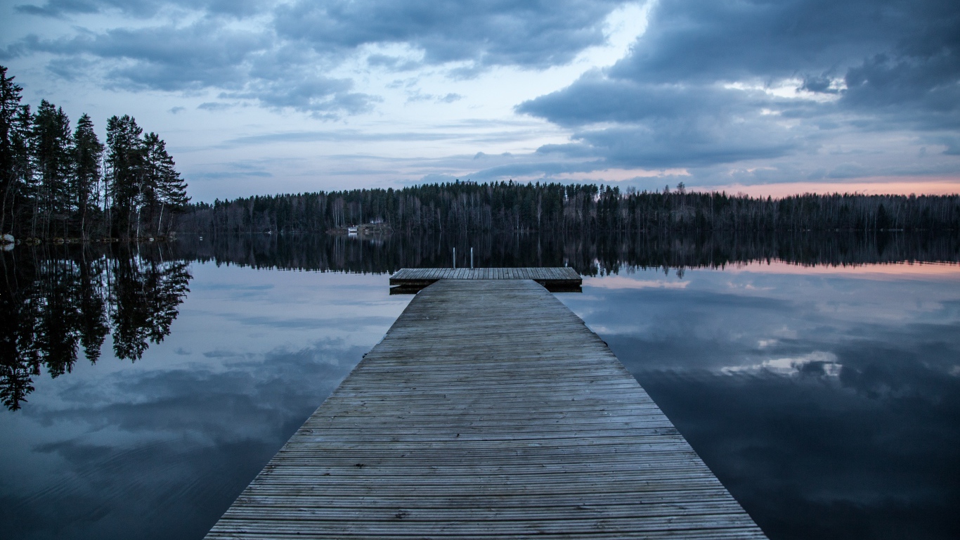 Большой деревянный мост на реке у леса