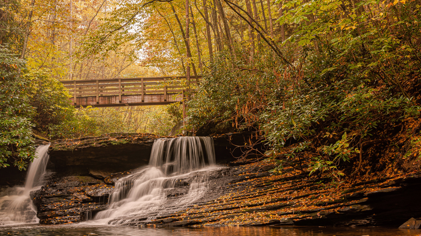 Водопад стекает по камням под мостом осенью