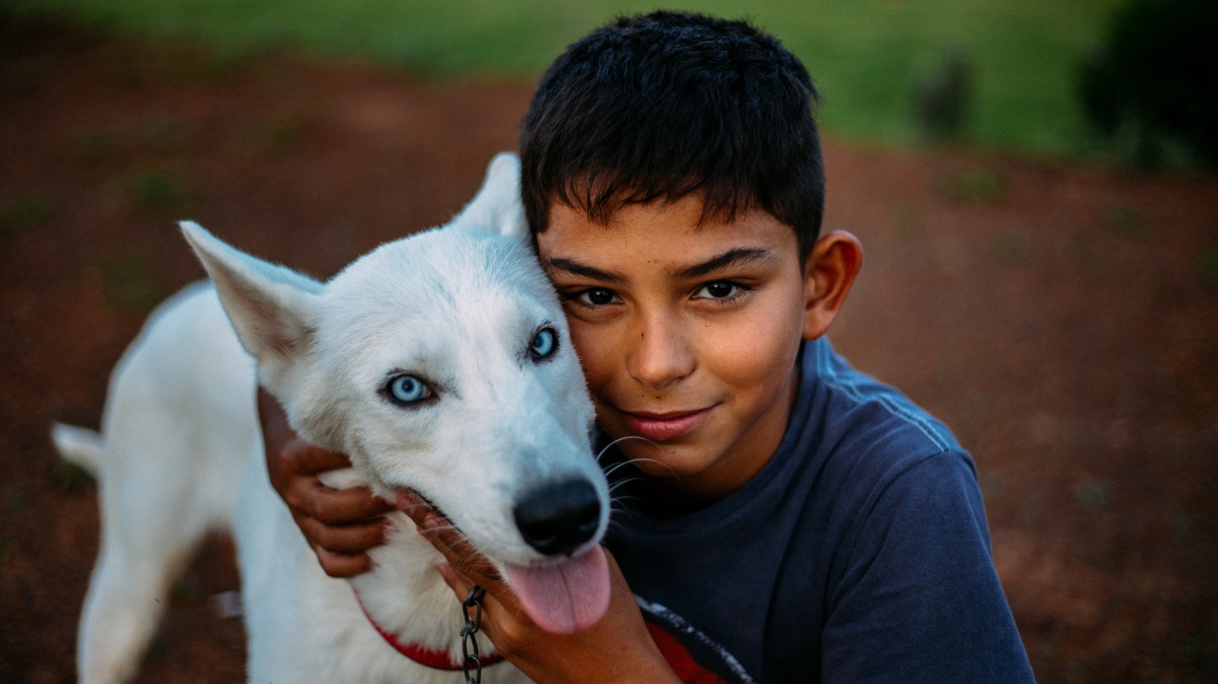 Мальчик с белой собакой с голубыми глазами 
