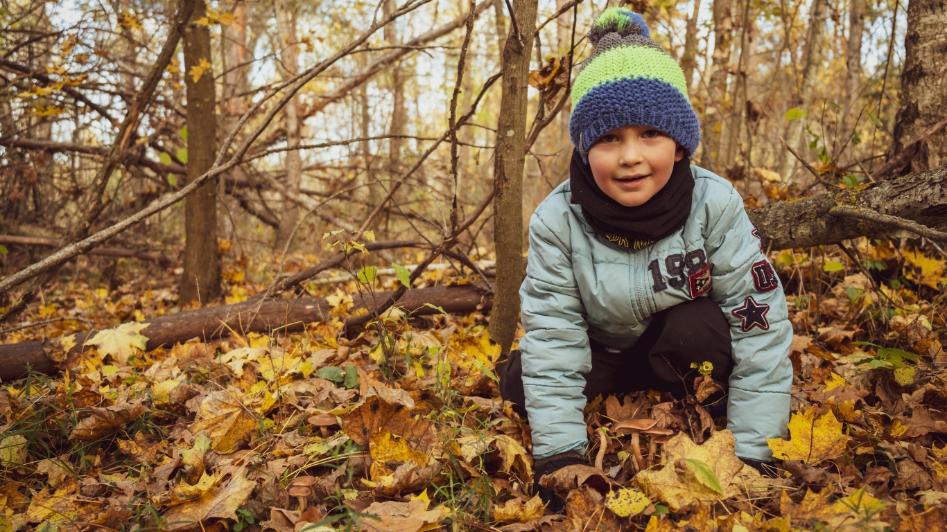 Маленький мальчик в лесу сидит на листве 