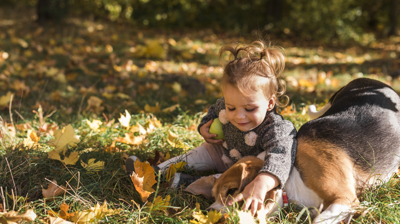 Маленькая девочка с собакой сидит на траве осенью 