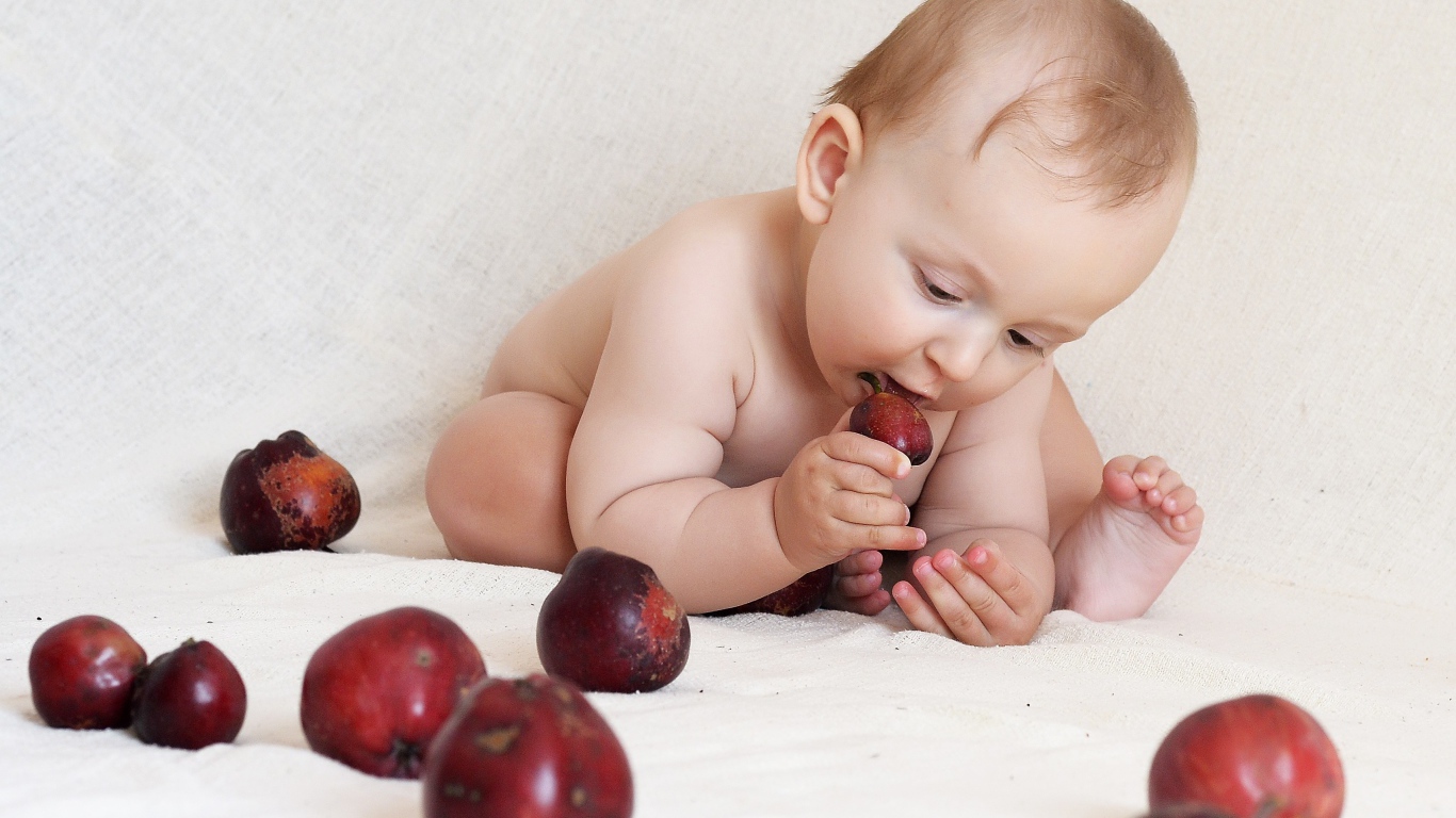 Маленький грудной ребенок грызет красные яблоки 