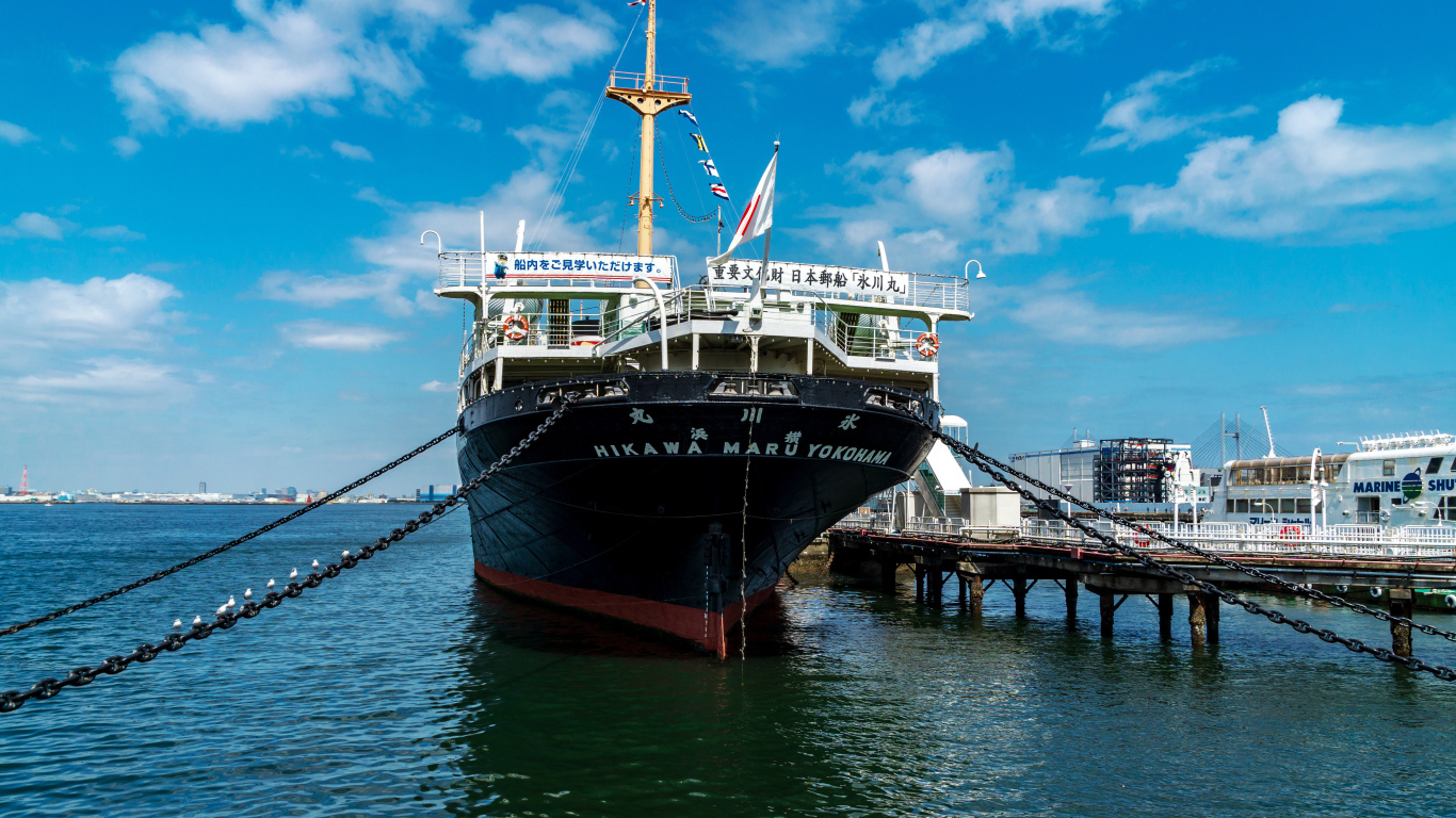Большой пассажирский корабль NYK Hikawamaru в море 