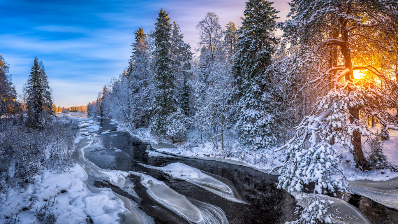 Холодная ледяная река у покрытых инеем деревьев в лучах солнца